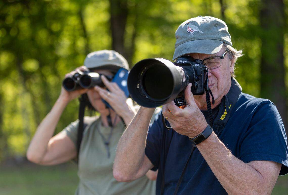 Anders and Beverly Gyllenhaal search for birds at Anderson Point Park on Thursday, April 13, 2023 in Raleigh, N.C. They are authors of a new book ‘A Wing and a Prayer’ examining the race to save many vanishing species of birds.
