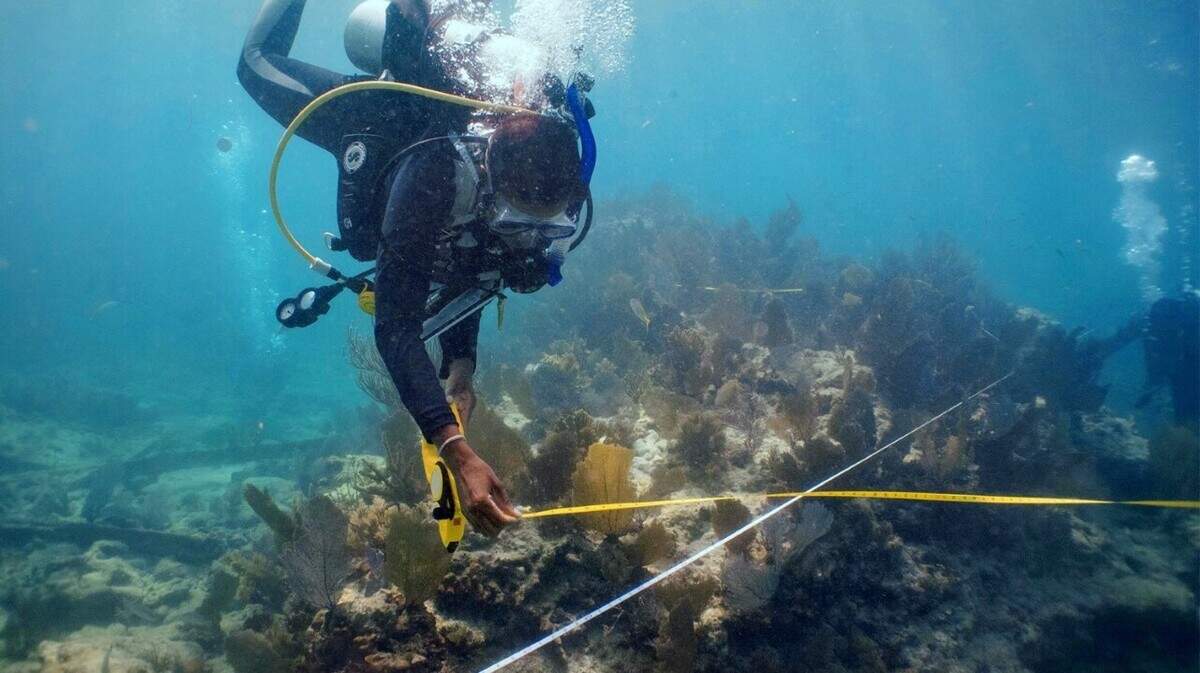 Tara Roberts became the first Black woman National Geographic Explorer to be featured on the cover of the magazine. The cover story, along with a six-episode podcast called “Into the Depths,” is the culmination of about four years spent researching and scuba diving alongside members of a non-profit organization called Diving with a Purpose (DWP). 