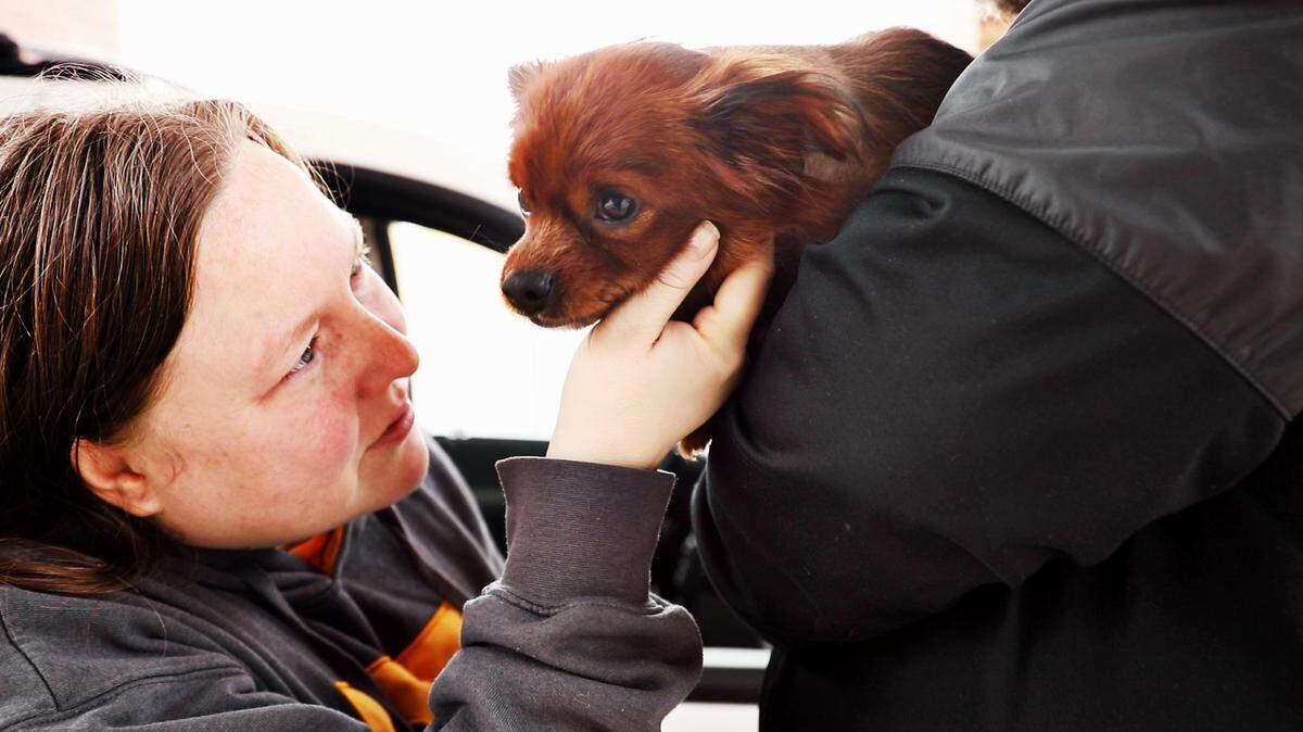 The NC State Veterinary Hospital in Raleigh offers 24/7 emergency care.