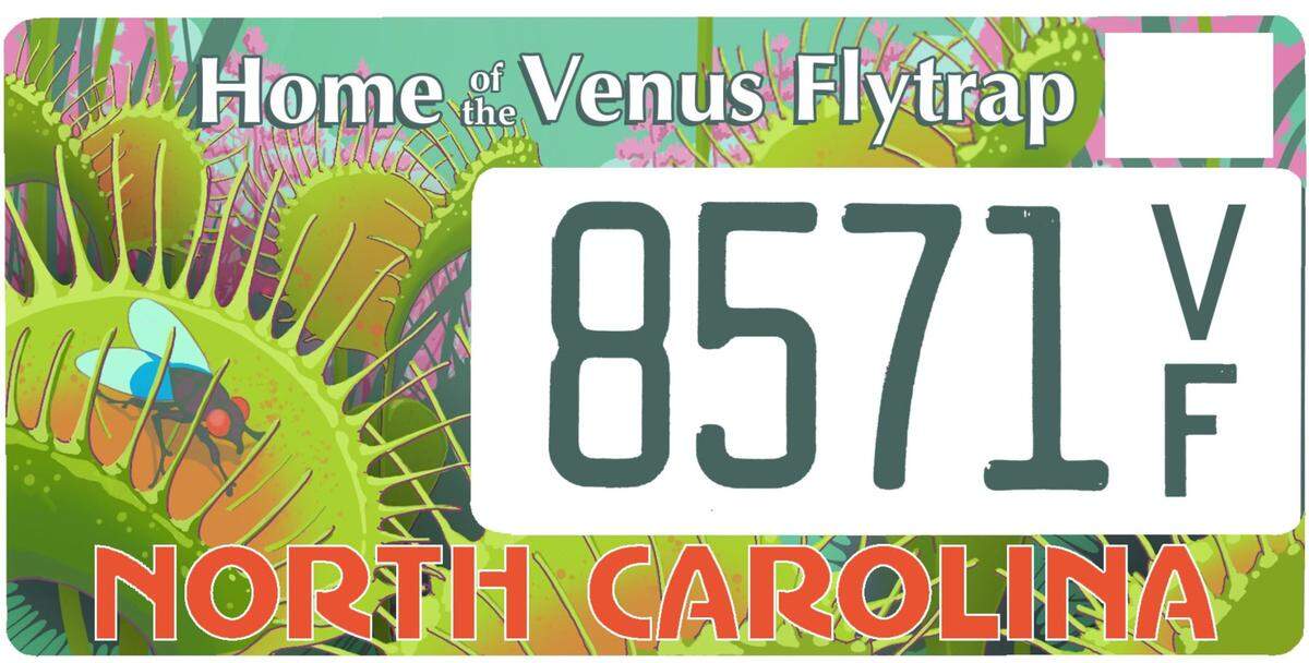 The proposed Home of the Venus Flytrap specialty license plate. A bill that would make the plate available to the public has passed the N.C. House but has not moved in the Senate.