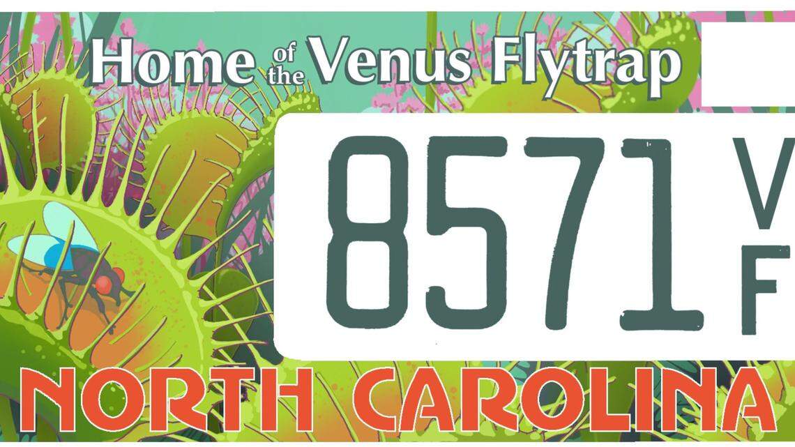 The proposed Home of the Venus Flytrap specialty license plate. A bill that would make the plate available to the public has passed the N.C. House but has not moved in the Senate.