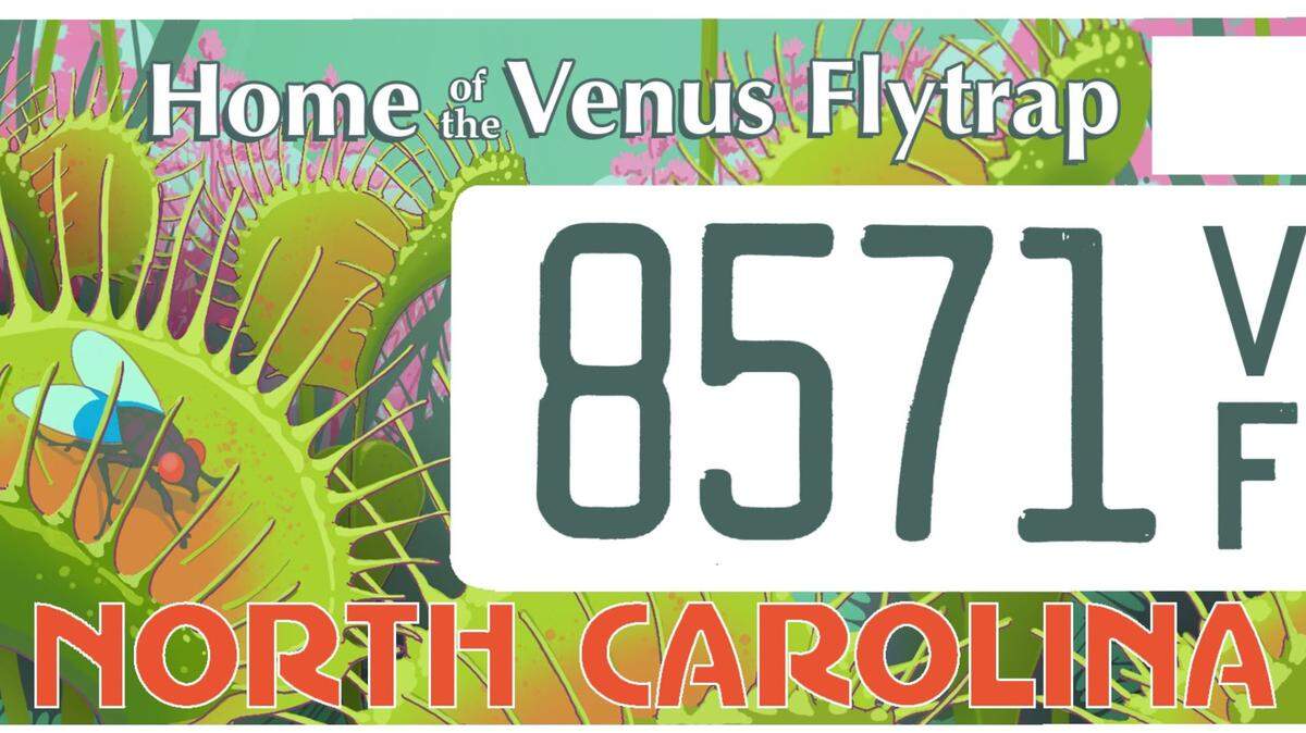 The proposed Home of the Venus Flytrap specialty license plate. A bill that would make the plate available to the public has passed the N.C. House but has not moved in the Senate.