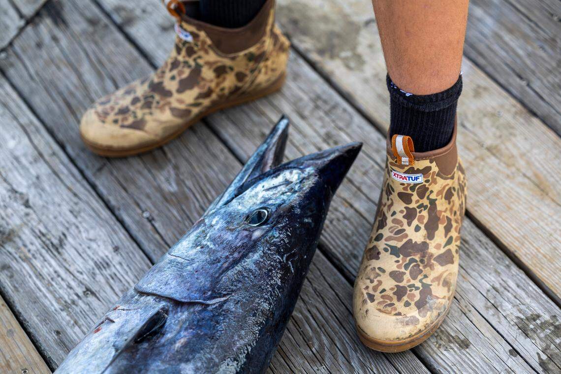 A wahoo waits to be cleaned and filleted during a weigh-in on Wednesday, June 12, 2024 at Big Rock Landing in Morehead City during the 66th Annual Big Rock Blue Marlin Tournament.