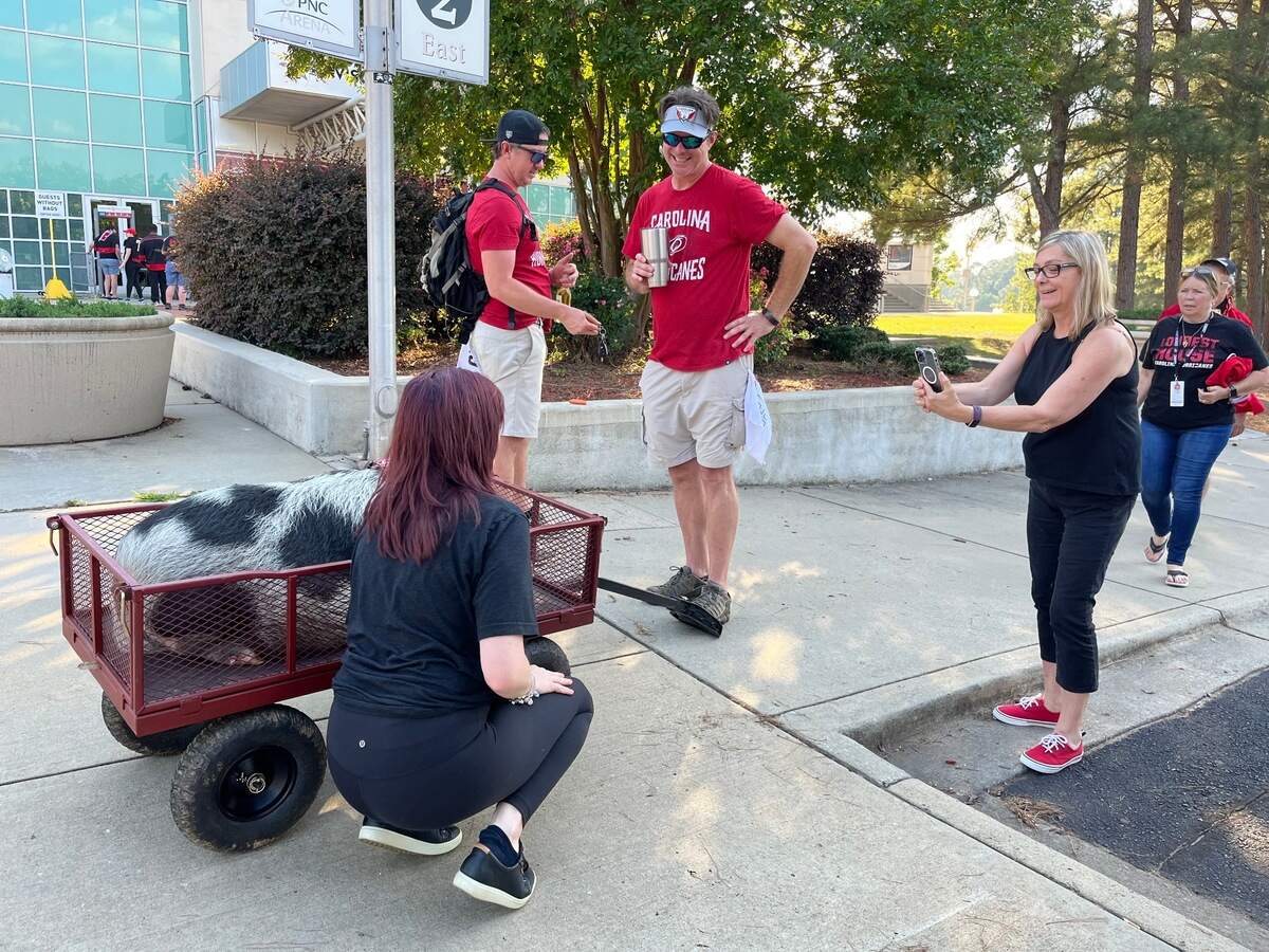 Fans pose with Hamilton the Pig outside PNC Arena before the start of the Carolina Hurricanes’ Game 7 against the New York Rangers in the second round of the Stanley Cup Playoffs in Raleigh on Monday, May 30, 2022.
