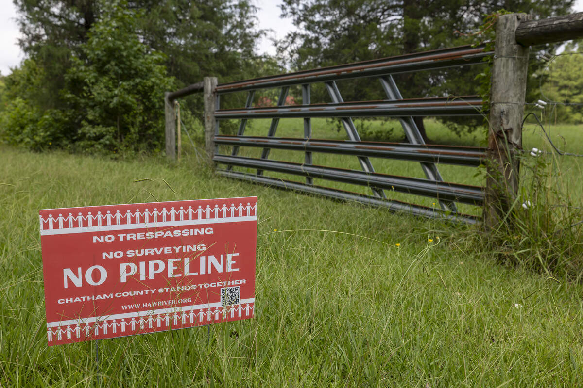 Dorasue Christian has posted signs opposing a natural gas pipeline along the border of her 22-acre farm on Tuesday, July 28, 2026 in Moncure, N.C.