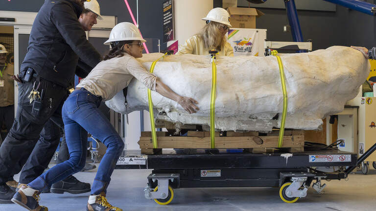 Rare bones, a voting surge, more ‘Thunder’: Top stories today