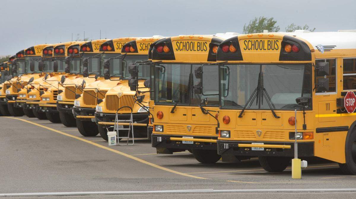 An 84-year-old bus driver was punched outside a North Carolina high school, officials said.