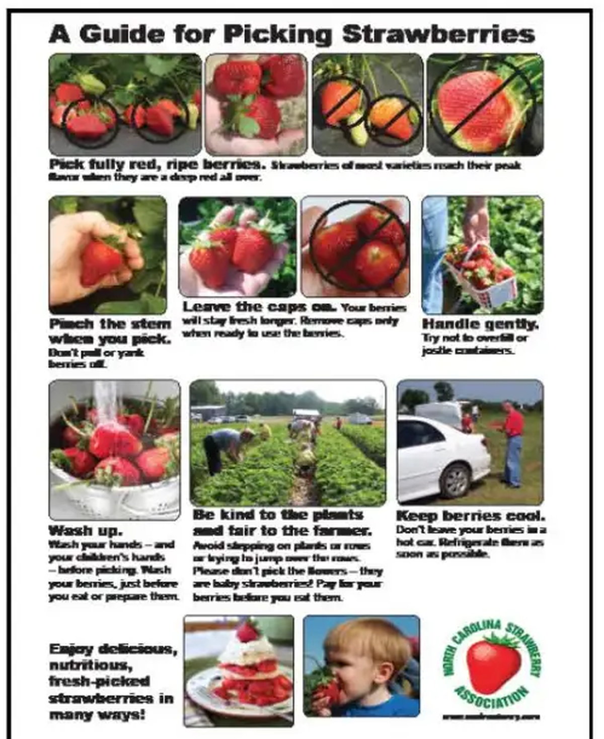 A poster from the N.C. Strawberry Association offers tips on how to pick strawberries without damaging the plants.