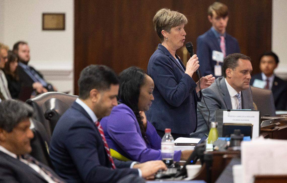 Senator Julie Mayfield of Buncombe County calls for more funding for Hurricane Helene relief, including farmers and mental health treatment for first responders during debate of the Senate Budget proposal on Wednesday, April 16, 2025 at the General Assembly in Raleigh, N.C.