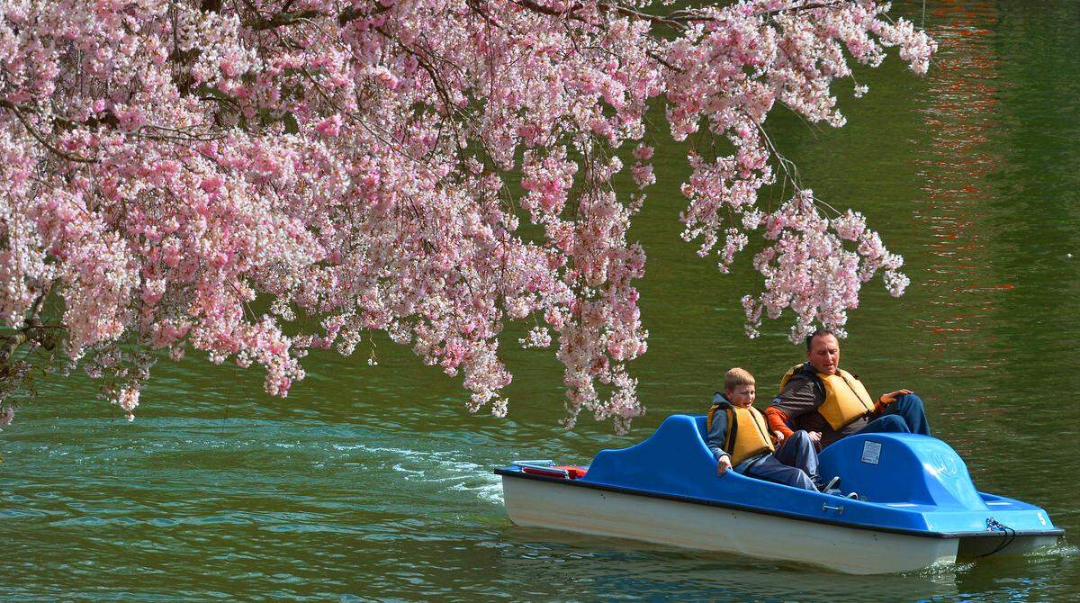 Pullen Park, off Western Boulevard, is near Dix Park and NC State and bustles with activity. You can rent pedal boats, kayaks and canoes.