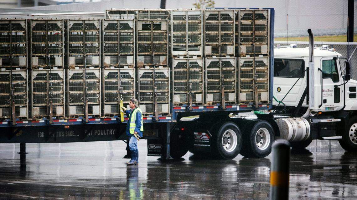 NC under-counting COVID deaths among workplace fatalities, worker advocates say