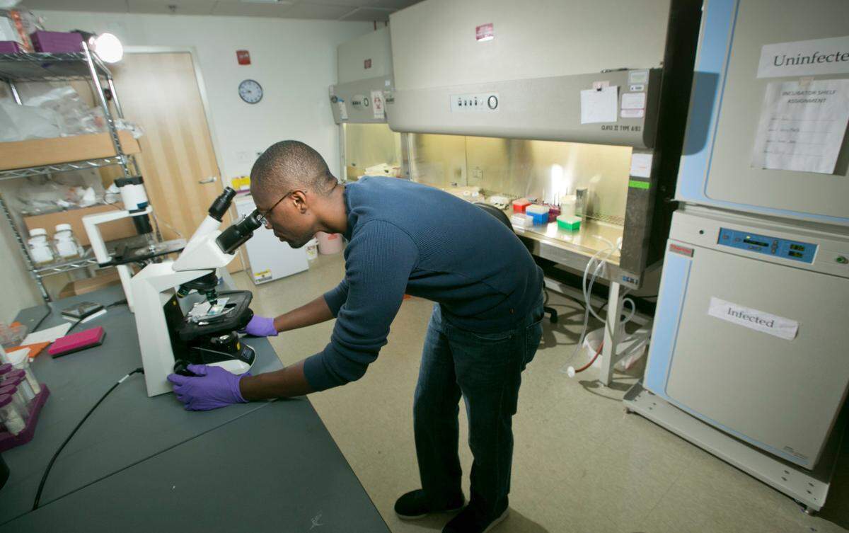 Rene Raphemot, who was a postdoctoral researcher at Duke, works on malaria research at the Derbyshire Lab at Duke in 2016.