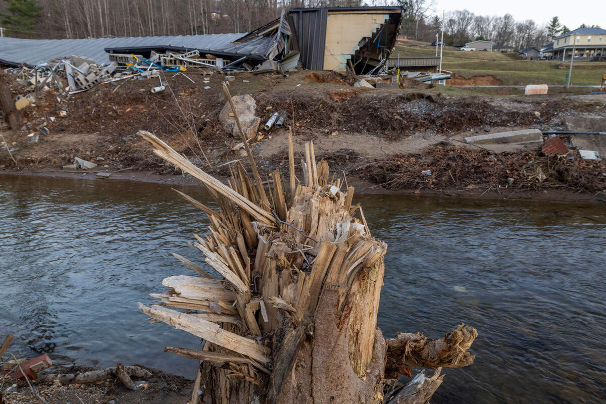 Damage from Hurricane Helene along the banks of Little Crabtree Creek on Tuesday, March 11, 2025 in Micaville, N.C. The force of several feet of flood water destroyed trees and the former Taylor Toggs manufacturing plant, that had been converted into a mixed used business.