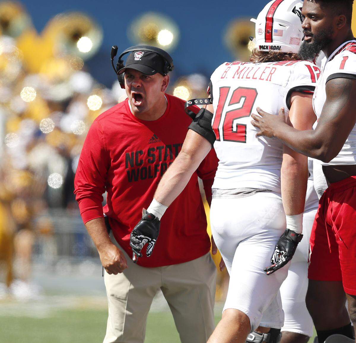 N.C. State co-defensive coordinator Tony Gibson yells to the team during the second half of West Virginia’s 44-27 victory over N.C. State at Milan Puskar Stadium in Morgantown, W.V., Saturday, Sept. 14, 2019.