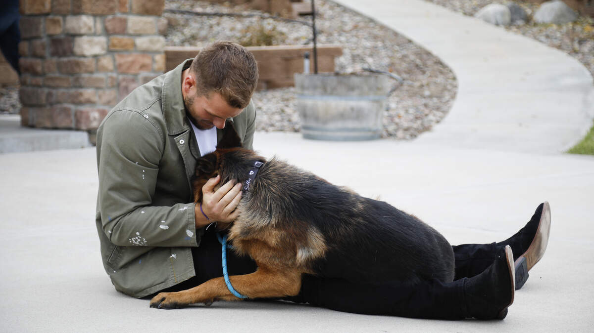 Colton Underwood and his dog Thor in Season 23 of “The Bachelor” on ABC.