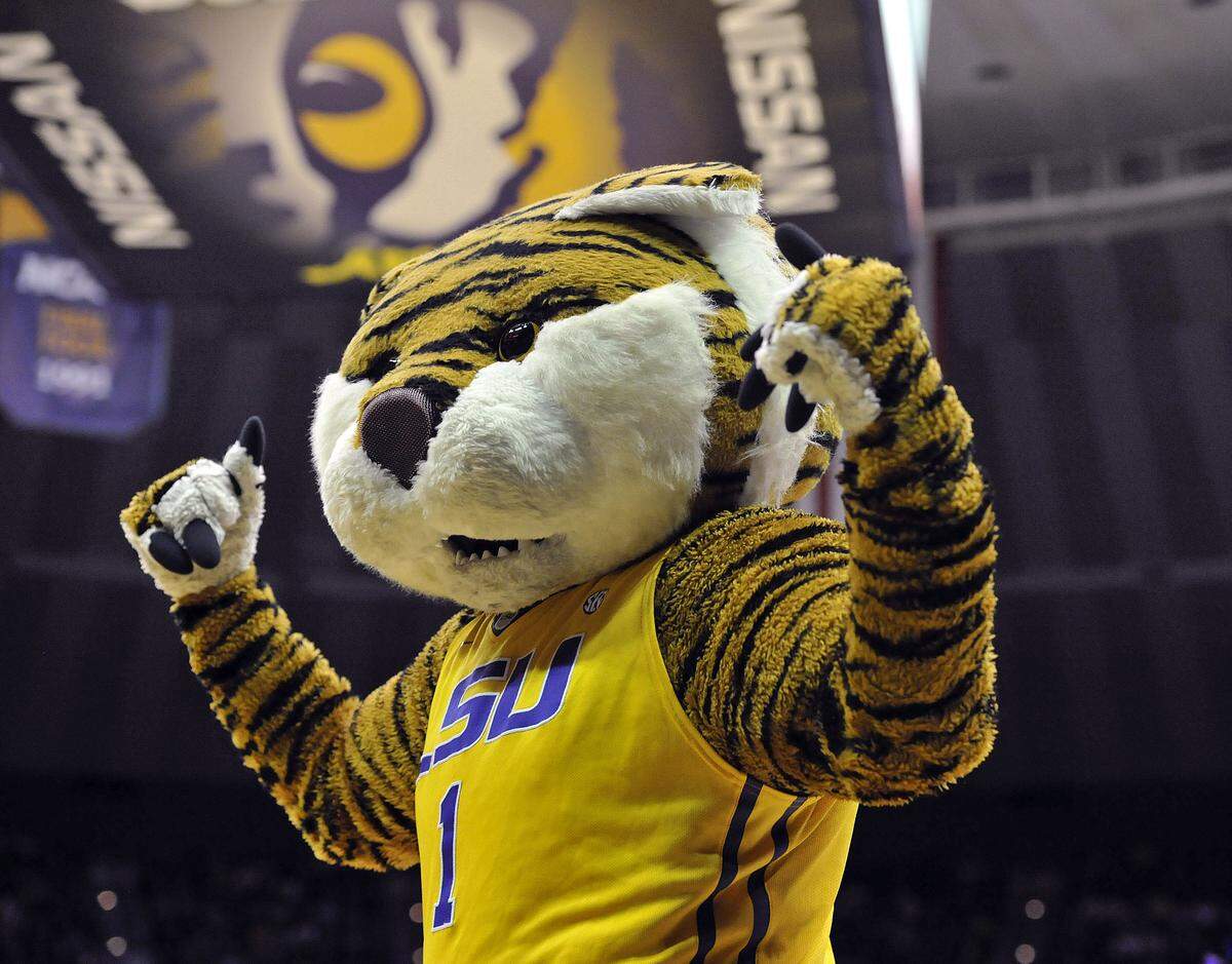 Louisiana State University’s mascot is Mike the Tiger. Here, Mike flexes in the first half of an NCAA college basketball game in Baton Rouge, La., Jan. 5, 2016.