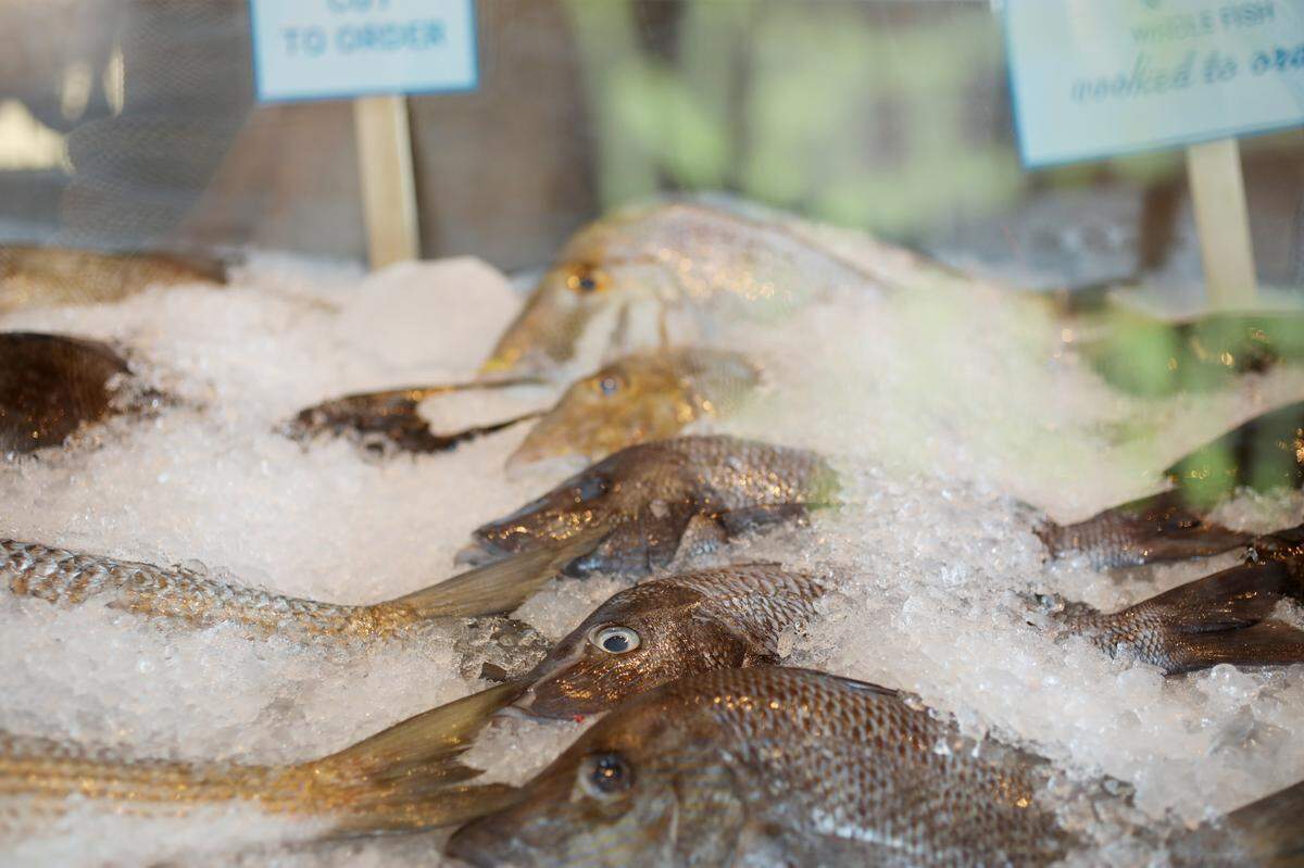 The former market display at Locals Oyster Bar in Transfer Co. Food Hall in Raleigh.