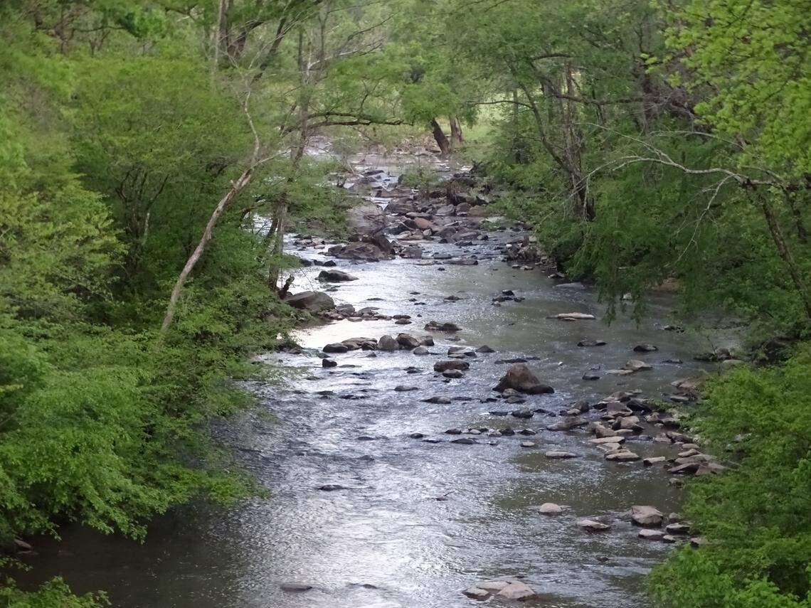 North Carolina partners with 130 of Chatham, an entity owned by Epic Games CEO Tim Sweeney, to manage land along the Rocky River in Chatham County.