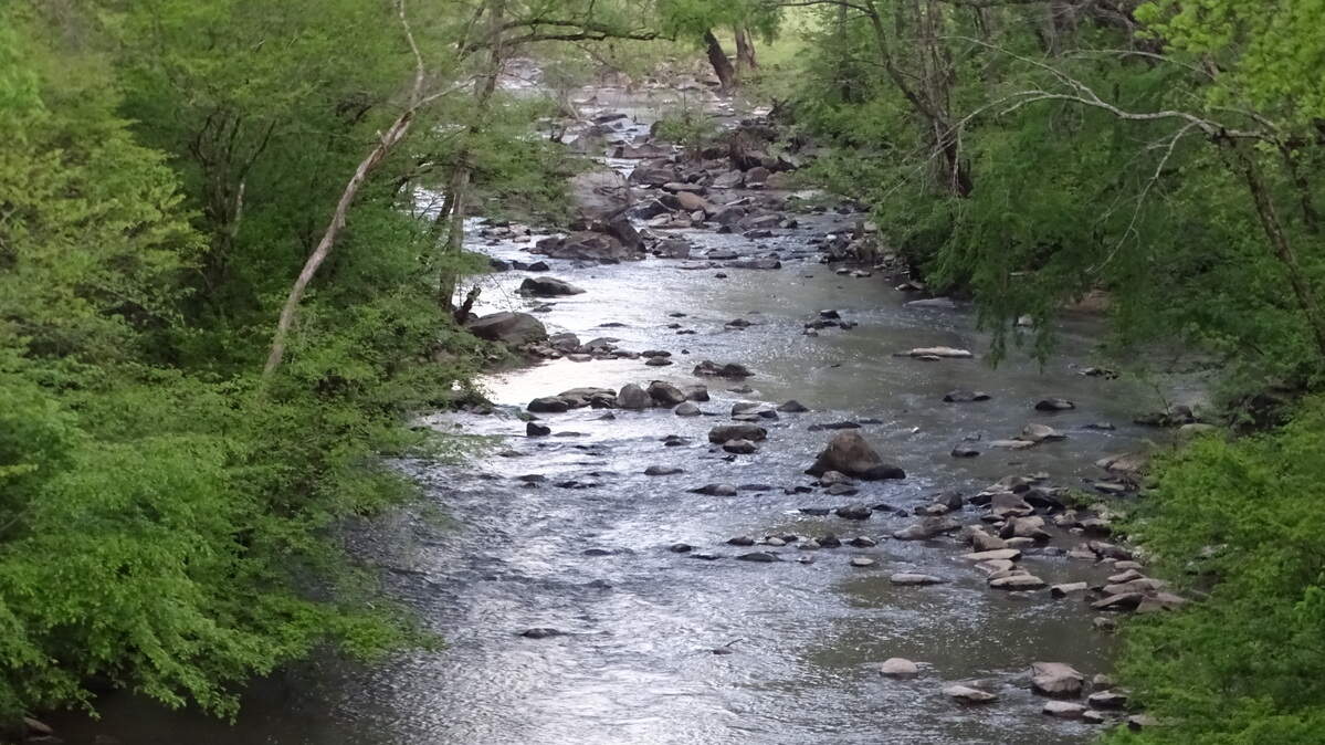 Op-ed: The EPA’s proposed rule change would strip Clean Water Act protections from 80% of all wetlands and over five million miles of streams across the country.