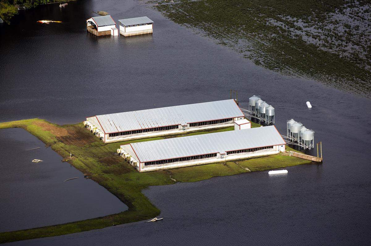 Three days after Hurricane Florence made landfall in Wilmington, N.C., floodwater still surrounds two hog houses and it’s lagoon near Kinston, N.C., on Monday, Sept. 17, 2018.