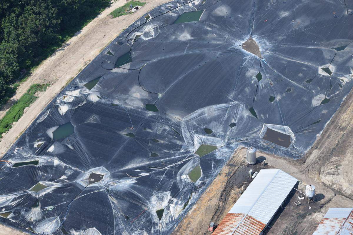 The covering on a Wayne County lagoon broke open in late May, sending more than four swimming pools’ of foam across White Oak Farms in Fremont. The damaged anaerobic digester is shown here on August 3.