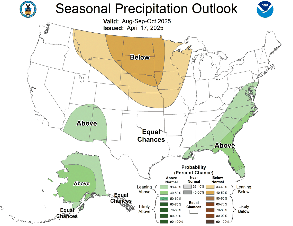 Forecasters at the National Oceanic and Atmospheric Administration say Raleigh and the Triangle could see above-average rainfall in the summer of 2025.