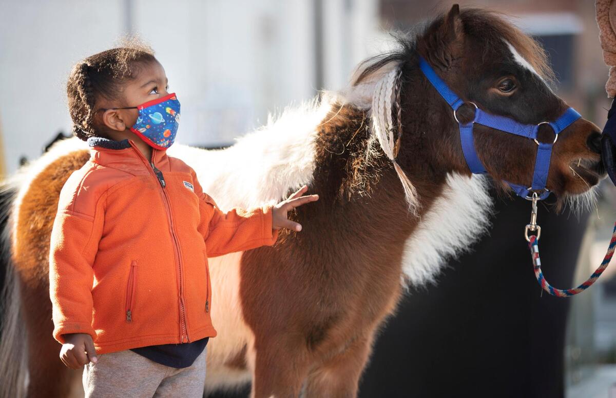 Two-year-old Ezekiel Whitaker meets one of two miniature horses during a book drive by Saddle Up and Read on Saturday, December 19, 2020 in Wendell, N.C.