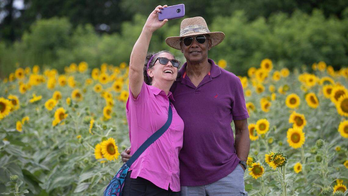 Triangle downtime: Make the most of the area’s parks, museums, sports teams and more