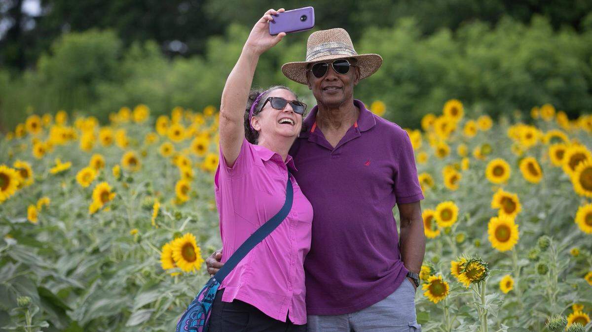 Triangle downtime: Make the most of the area’s parks, museums, sports teams and more