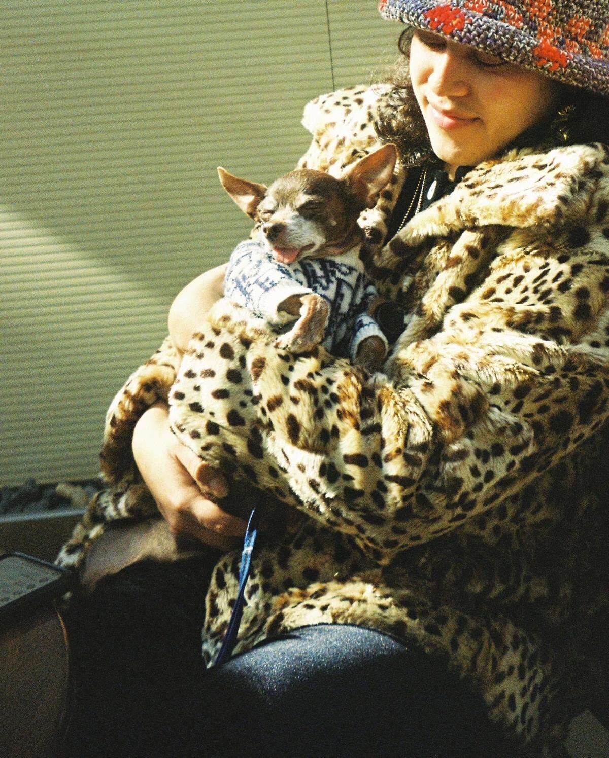 Sol Jiménez Palacios holds their elderly Chihuahua Pancho during a trip to New York City in February 2022.