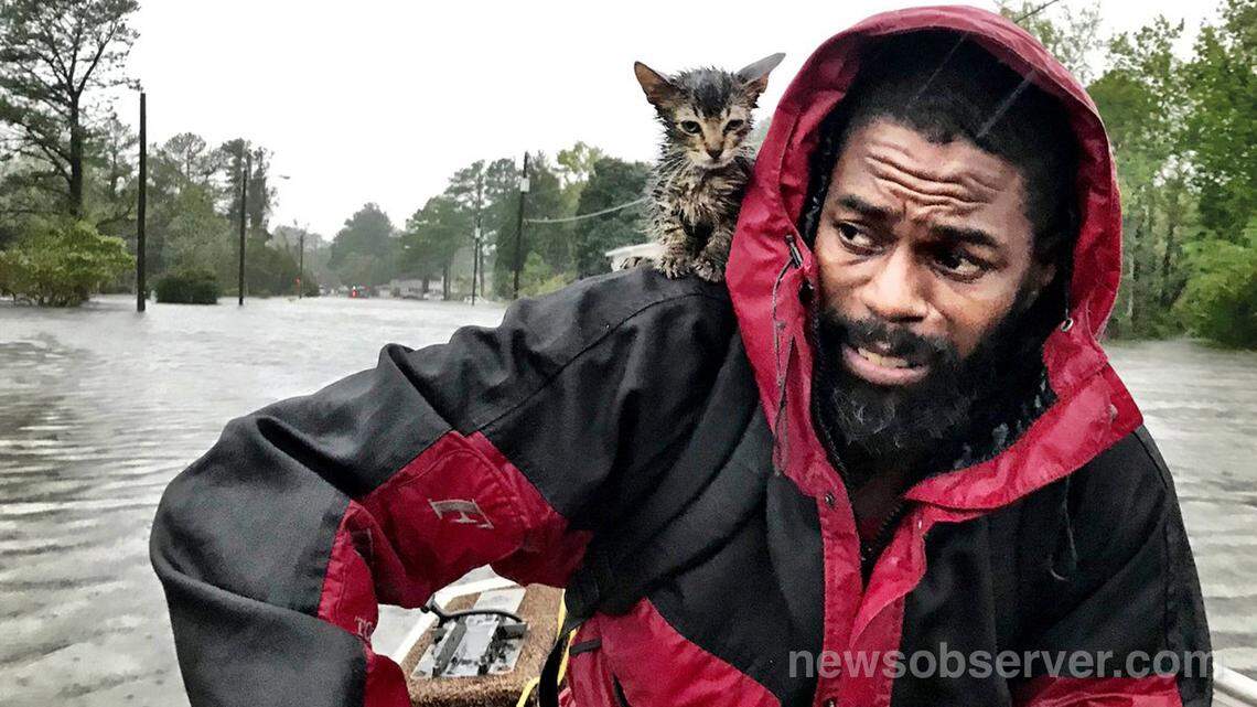 Robert Simmons Jr. and his kitten, Survivor,  are rescued from floodwaters in New Bern, NC, after Hurricane Florence dumped several inches of rain in the area overnight, Sept. 14, 2018.  Hundreds were rescued from eastern North Carolina in the wake of the slow-moving storm.  Photo by Andrew Carter, The News & Observer