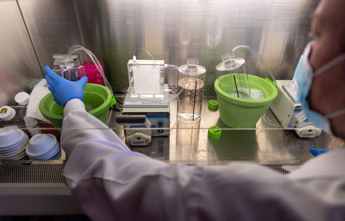 Senior Lab Analyst, Andrew Foulger oversees the production of large batches of proteins in the Duke Human Vaccine Institute research lab on Wednesday, July 13, 2022 in Durham, N.C.