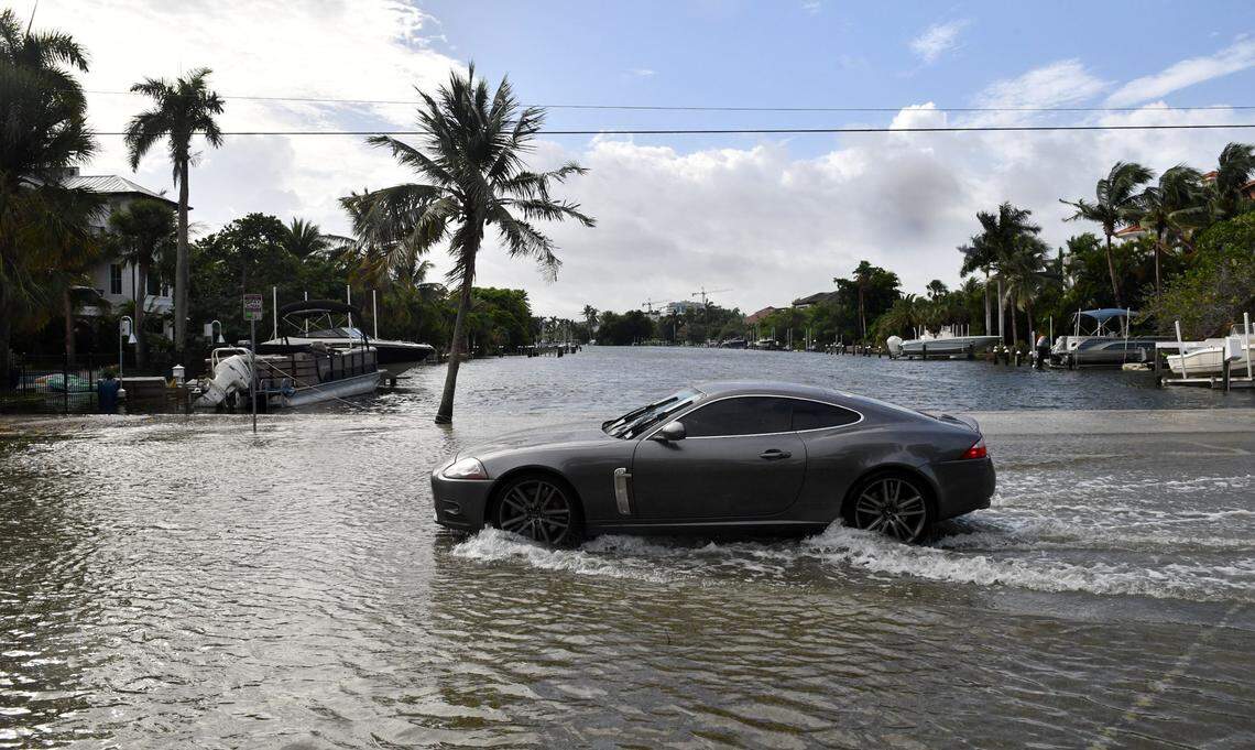 A motorist drives through saltwater on John Ringling Blvd. in Sarasota Thursday morning, Sept. 26, 2024. The storm surge from Hurricane Helene arrived early in Sarasota, covering the road from St. Armands Key to Lido Key.
