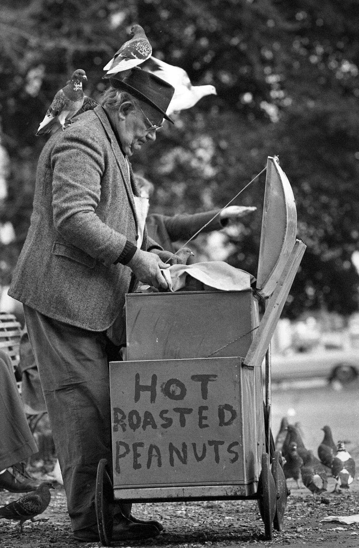 Jesse Broyles, known as The Peanut Man, was often seen with pigeons sitting on his head and shoulders as he sold hot roasted peanuts from his small cart in downtown Raleigh.