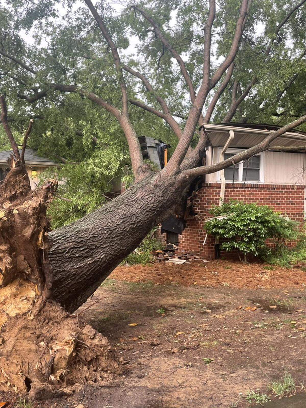 A large tree felled by severe weather Monday, May 23, 2022, did significant damage to this residence at 18 Hamilton Road in Chapel Hill. No injuries were reported.
