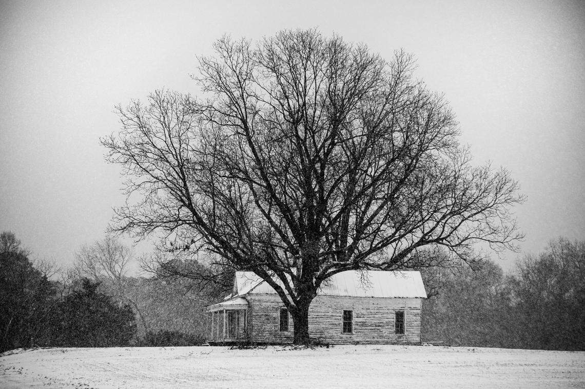 Winter weather created a snowy scene in eastern Wake County, Wednesday, February 19, 2025.