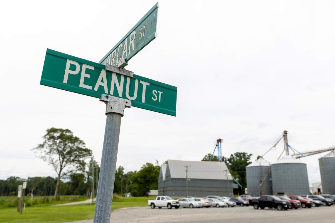 The Severn Peanut Company in Severn, N.C., on Monday, July 10, 2023. The company also know as Hampton Farms processes millions of pounds of peanuts annually.