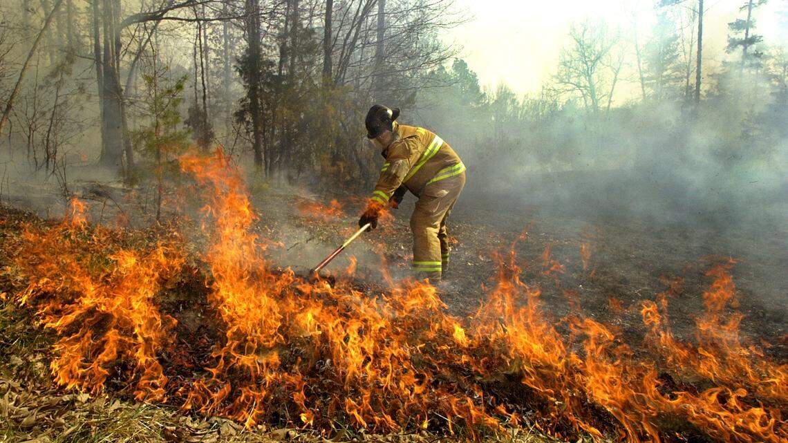2 of 3 Triangle, NC, counties at ‘very high’ fire danger risk. How to stay safe.