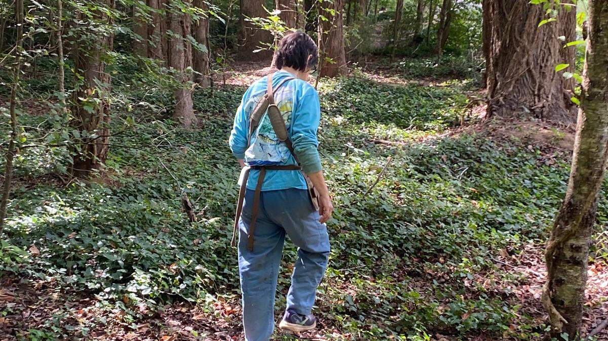Kate Dixon walks the Windemere Beaver Dam greenway in Raleigh, where she has been combating English ivy and other invasive plants.