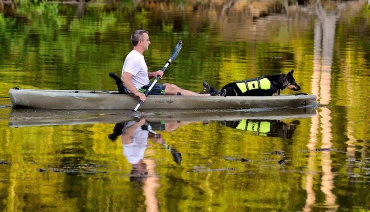 Dayle Johnson paddles from the boat launch area of Lake Crabtree with his dog Vonna late Wednesday afternoon. Lake Crabtree is downstream from $82 million Superfund cleanup at the site of the Triangle’s nastiest industrial polluter, Ward Transformer Co. Ward’s half-century legacy of toxic PCB contamination will linger in the Raleigh area for many years to come, in creeks and lakes from Raleigh-Durham International Airport west of the city to the Neuse River on the east side.