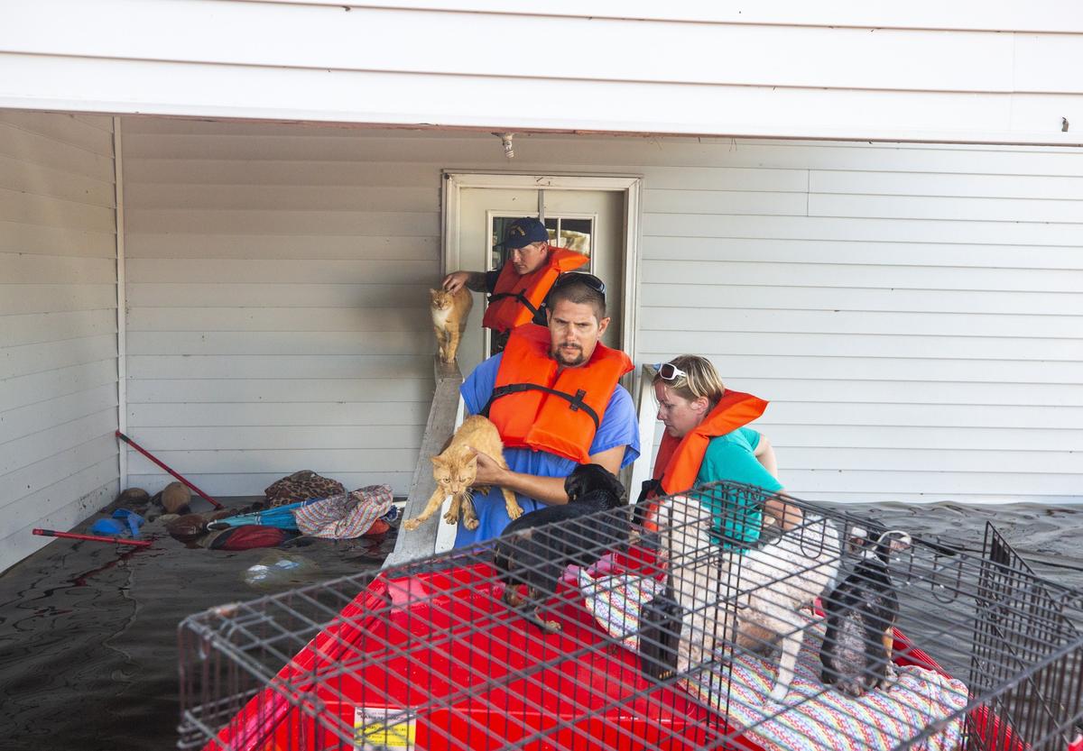 Local firefighter Chasity Hewett, left, and her fiance, Fire Chief Westly Dorsch, center, helped a US Coast Guard crew navigate flooded streets of their tight-knit community in Crusoe Island, NC, to rescue pets that remained after emergency evacuations of those who underestimated Hurricane Florence, on Wednesday, Sept. 20, 2018 in Columbus County, NC.