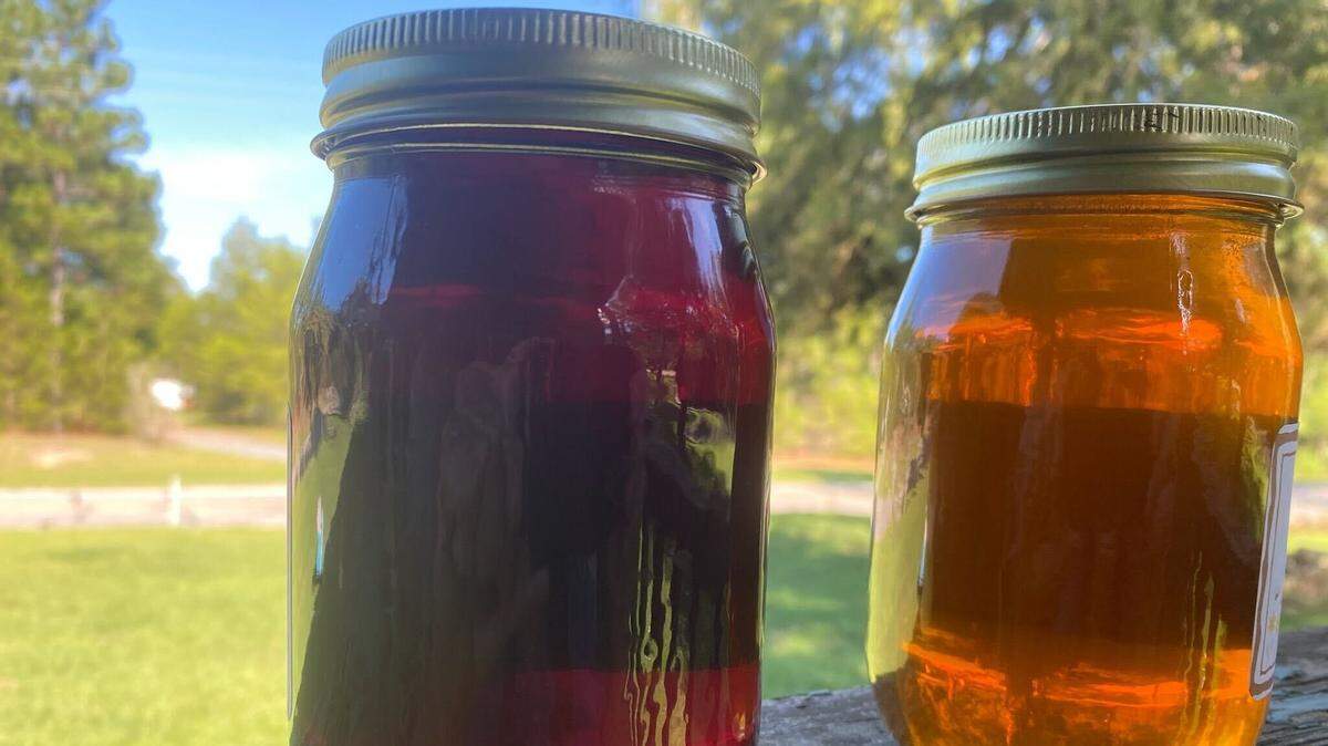 Purple honey, also known as blue honey, is shown on the left, with regular honey on the right. Purple honey is known to come from honeybees in the Sandhills of North Carolina, but local beekeepers and apiculturists have seen it in other parts of the state. 