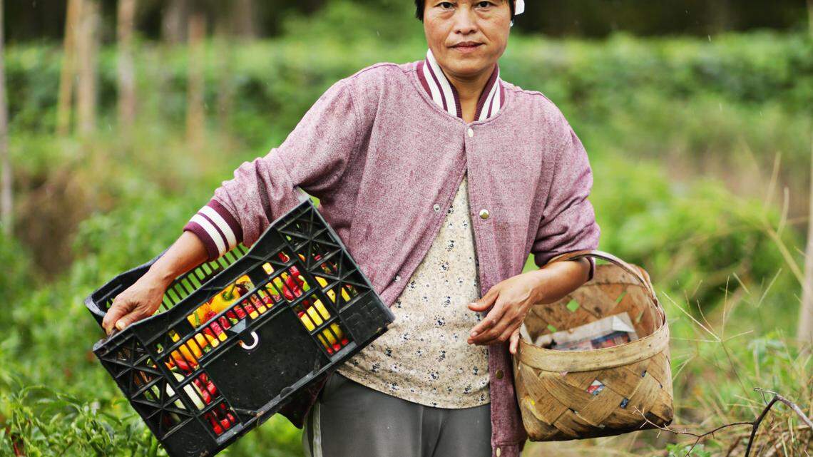Far from home, refugees from Burma put down new roots at a community farm