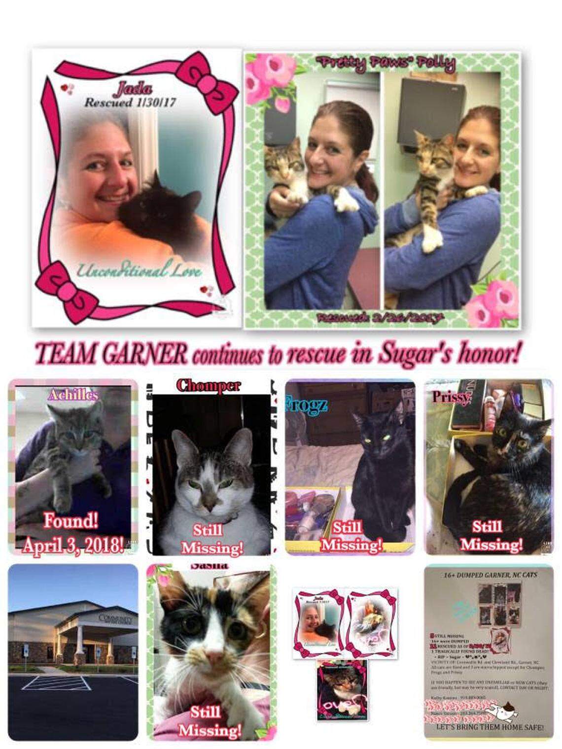 A Craiglist ad posted by Kathy Kamins, who continues to search for the last four of 16 cats dumped near Garner in 2016. The missing, Sasha, Frogz, Prissy and Chomper, are shown.