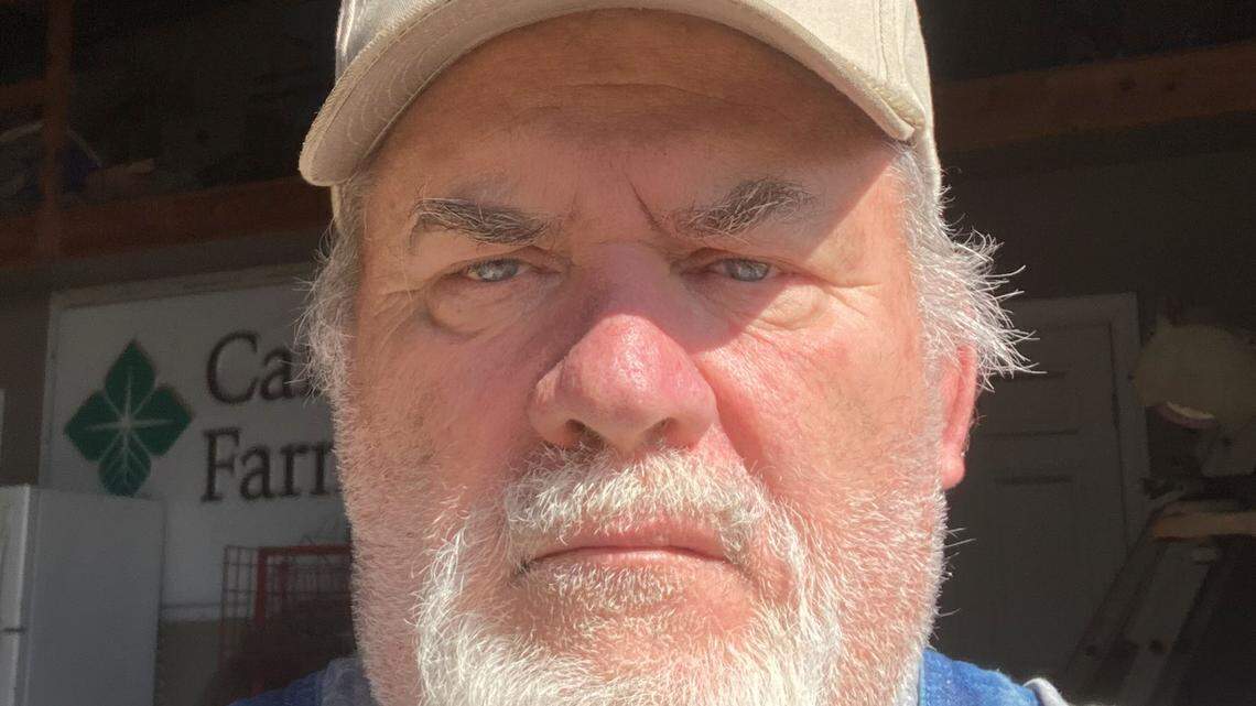 ‘The point where there’s no money there’: Some have moved on to soybeans, corn and wheat