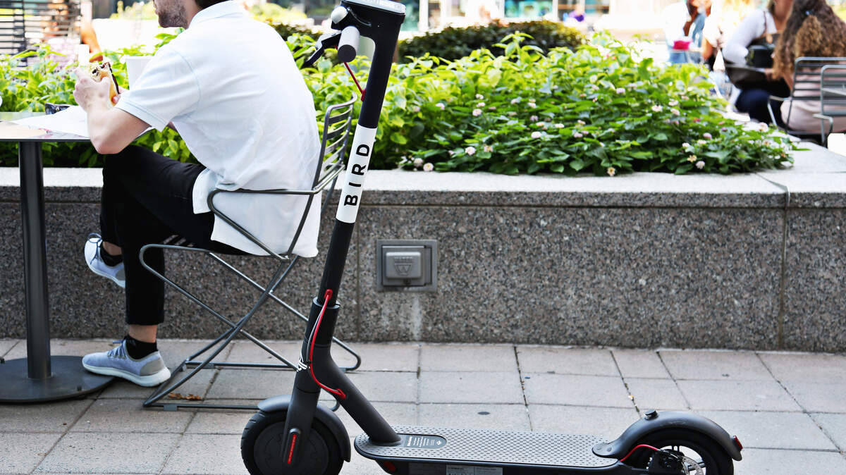 Bird electric scooters are now in downtown Raleigh.