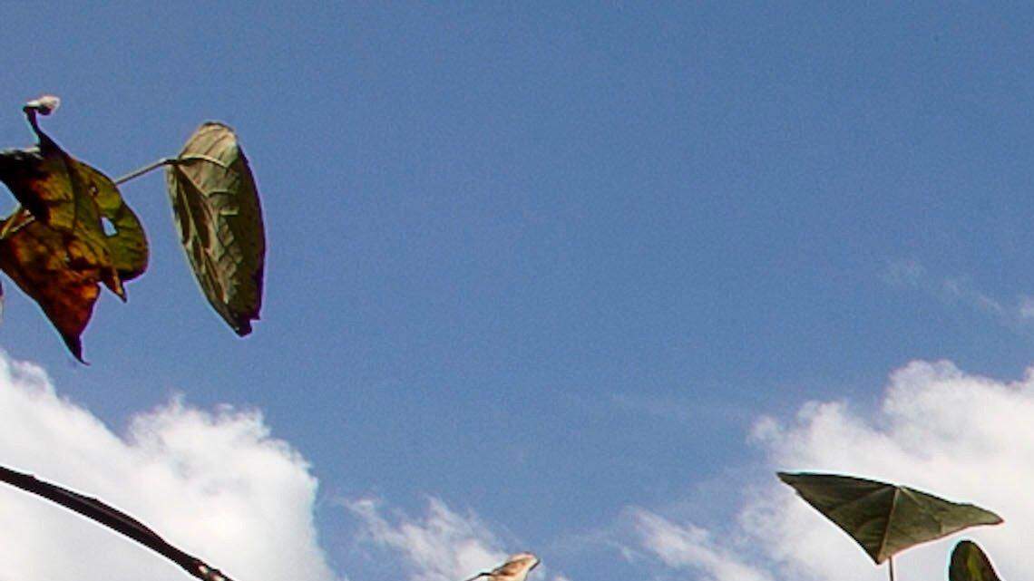 Chatham weighs ‘megasite’ spending to lure industry