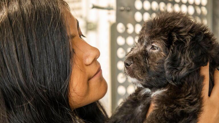 North Carolina makes pets a priority as families flee Hurricane Dorian