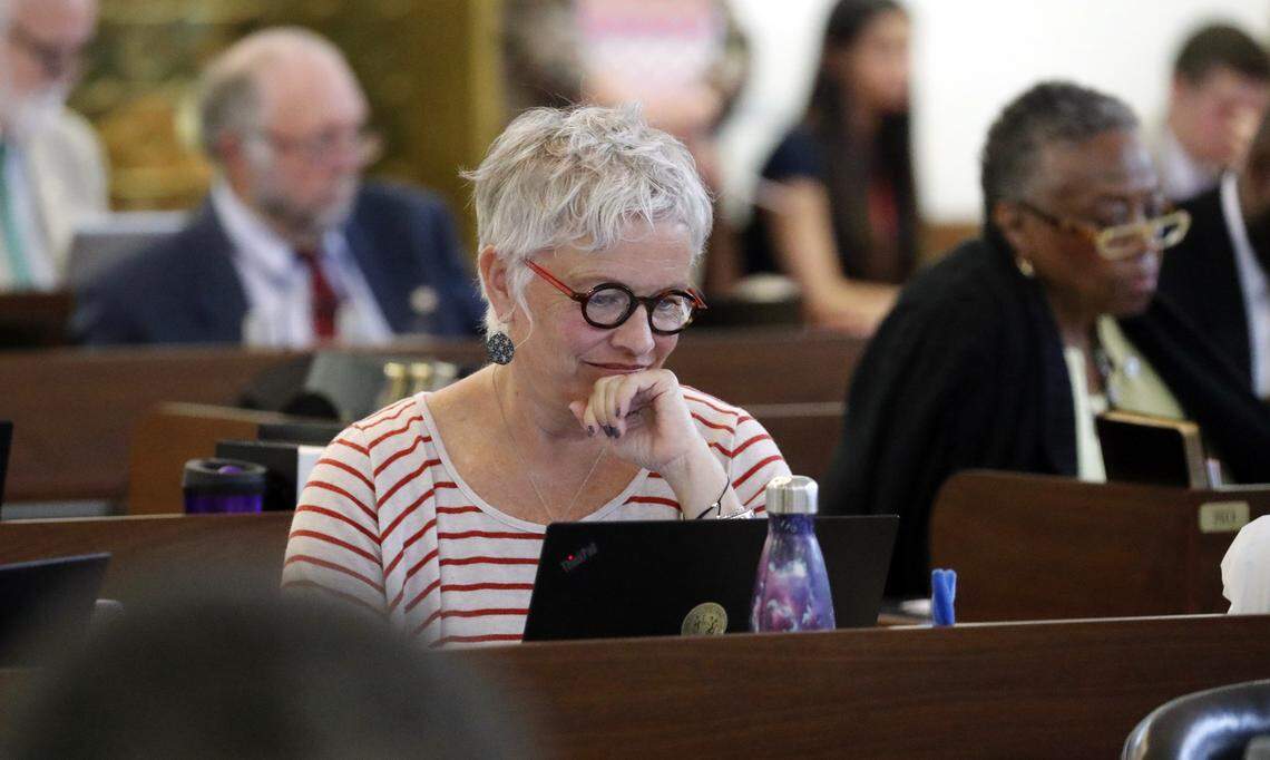 Rep. Susan Fisher, D-Buncombe.