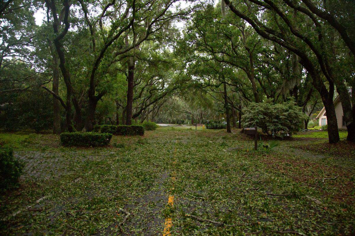 Tree debris lays on the street at Port Royal Planation on Hilton Head Island after the eye of Hurricane Dorian traveled north off the South Carolina coast, Thursday September 5, 2019. Jessica Koscielniak / jkoscielniak@mcclatchy.com)